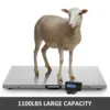 Digital Livestock Scale 3