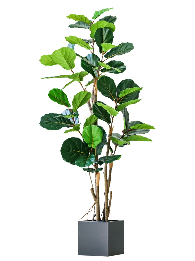 Fausse plante de haute qualité, feuille de Qin Banyan, plante verte d' intérieur, grande plante, décoration de salon, décoration de maison, de  bureau - AliExpress