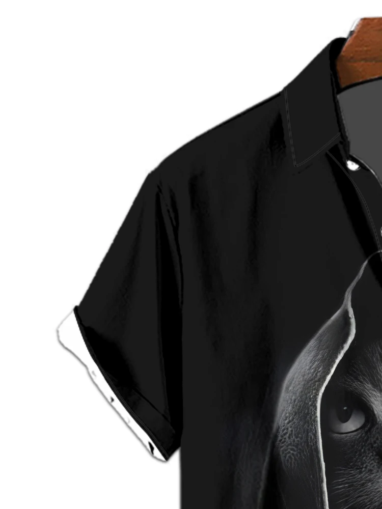 Slide image af184ad2779747ec85108d3a31a94b63