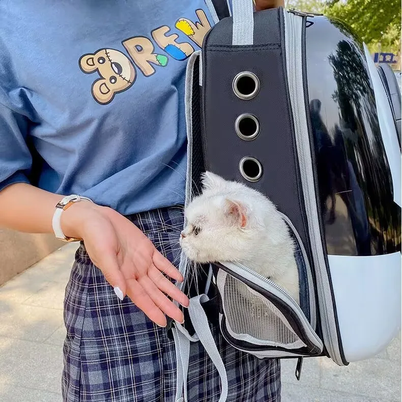 고양이 외출 가방 휴대용 어깨끈 애완동물 백팩 파노라마 투명 백팩 고양이 케이지 우주 캡슐 측면 개방 가능