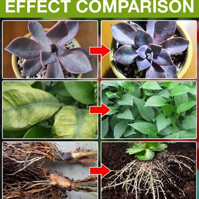 Növénynövekedés Műtrágya Tápanyag-Oldat Multifunkcionális Kiegészítő Gyökérzet Stimulátor Elősegíti A Gyökérkert-Ellátást - Image 4