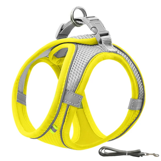 Yellow with rope