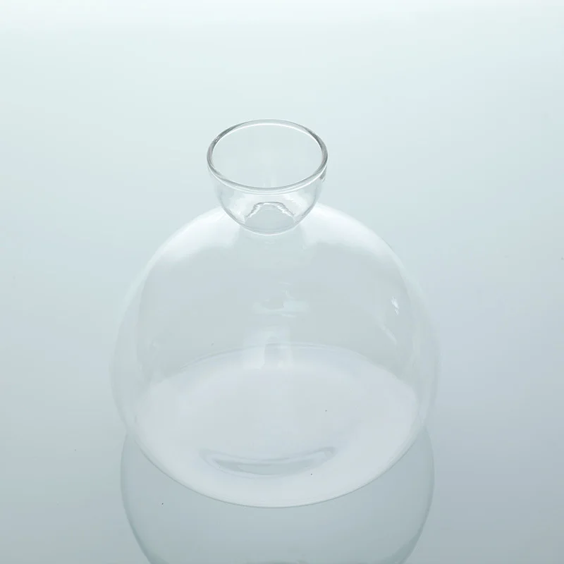 Avocado Seed Starter Vase Transparent Glass Vase For Growing Plant Glass Seed Growing Kit For Gardening Lovers