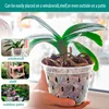 5Pcs 11/12.5/14/15/17cm Planter Pots with Side Holes Orchid Flowerpot with Trays Breathable Transparent Plastic  Flowerpot 6
