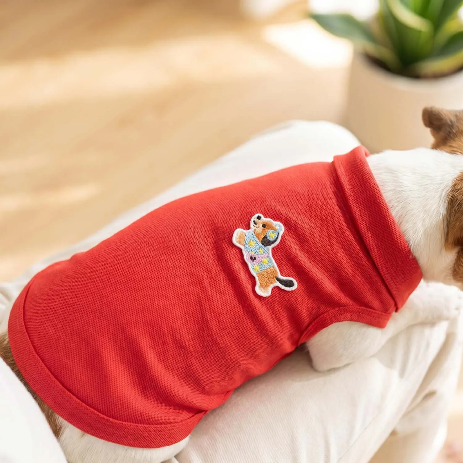 Polo per cani alla moda con ricamo a forma di orso, abbigliamento per animali domestici traspirante e confortevole - immagine 6
