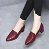 2025 New Spring Women's Pointed Point Medium Thick Heel Shallow Mouth Single Shoes Fashion Soft Leather Embroidered Work Shoes 1
