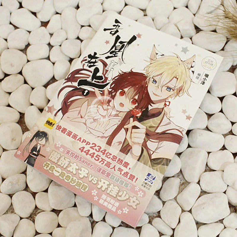 Рисунок 2 - Книга в китайском стиле Wu Huang