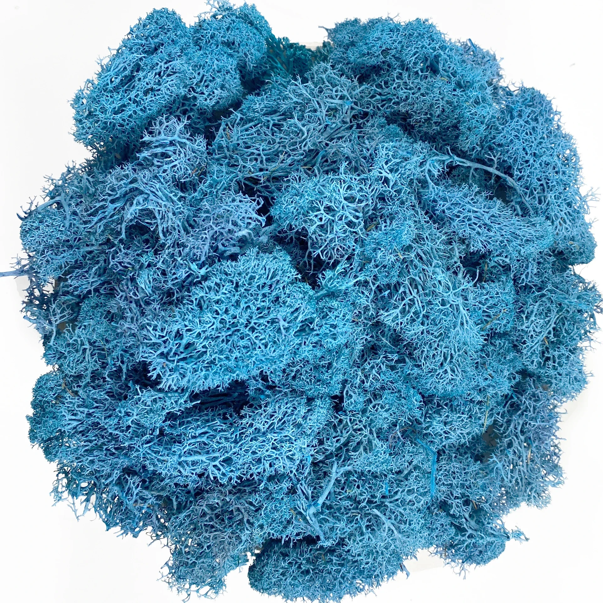 Lush Green Decorative Reindeer Moss for Crafting and Floral Decor