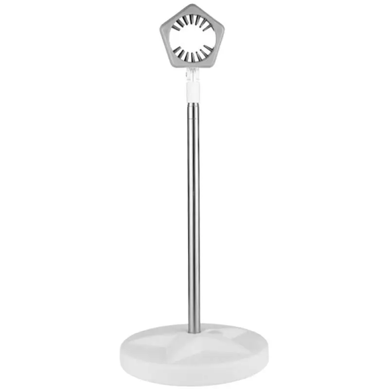Telescopic Hair Dryer Holder Stainless Steel Blow Dryer Stand Hands Free Hanger Bathroom Shelf Hairdryer Rack Floor Stand Pet