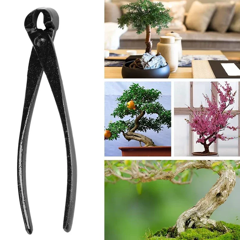 1pcs Professional Bonsai Knob Cutter Concave Edge Cutter Pliers Ball Shear Scissors Landscape Modeling Garden Bonsai Tools