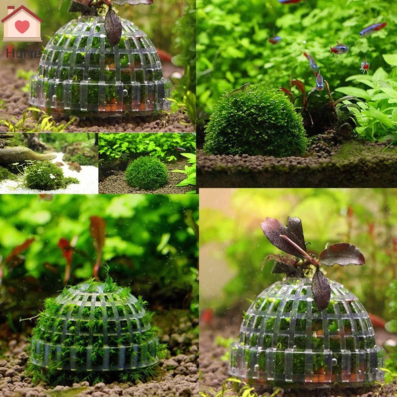 Aquarium Fish Tank Decorations Moss Ball Live Plants Filter Aquatic Pet Supplies