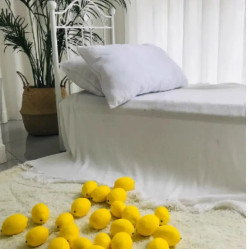 인공 레몬 모델 가짜 라임 슬라이스 사진 정적 개체 카메라 소품 디스플레이 장식 플라스틱 가짜 과일 장식품