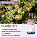 Honeysuckle