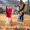 Kids Rakes for Leaves,Child Size Garden Rake Childrens Lawn Rake Toddler Leaf Rake Rakes with Detachable Hardwood Handle （RED） 6