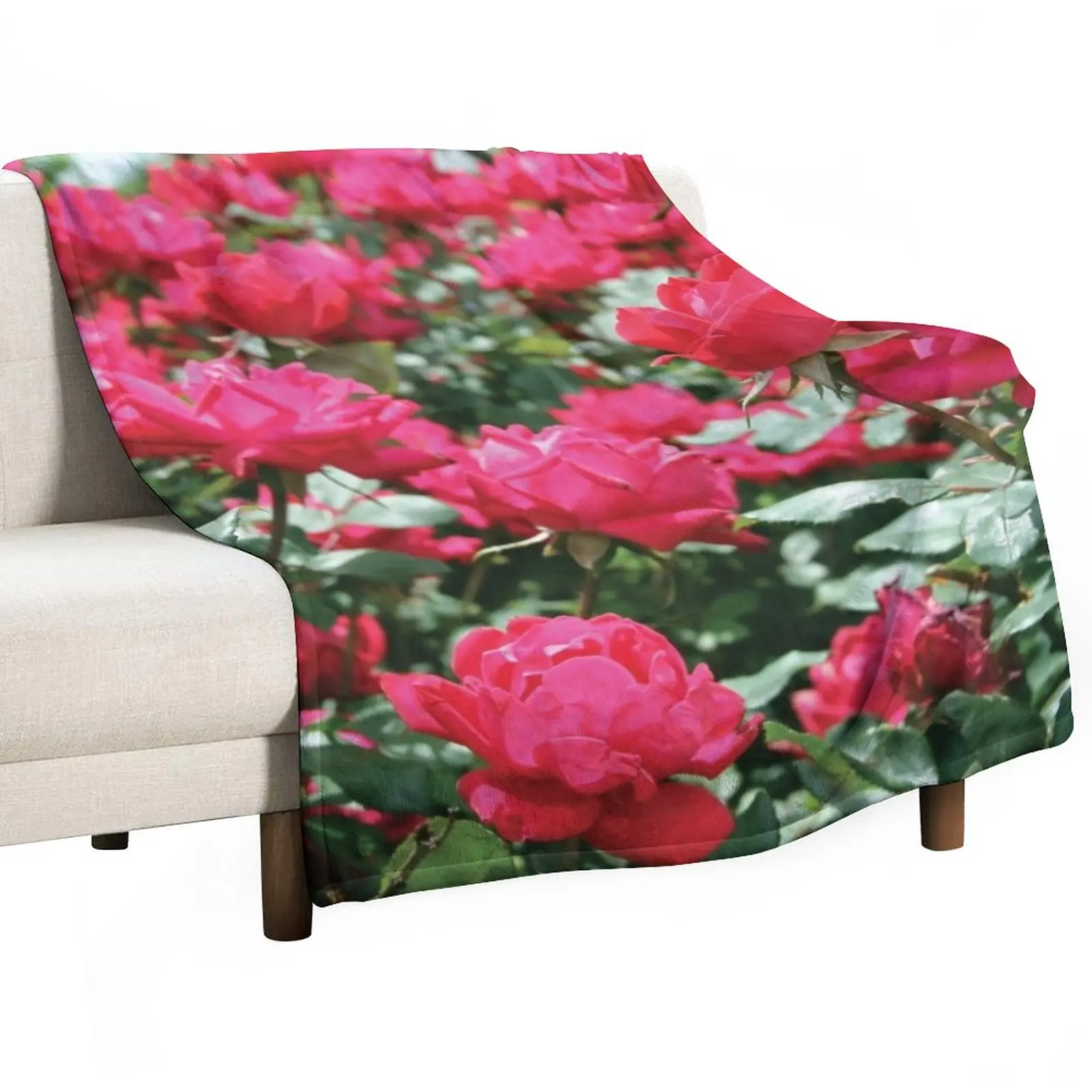 

Bold and Beautiful Rose Bush Throw Blanket Hairy Blanket Blankets Sofas Of Decoration Large Blanket Fashion Sofa Blankets
