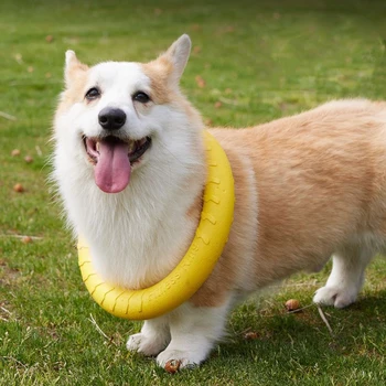 Floating Dog Training Ring 2