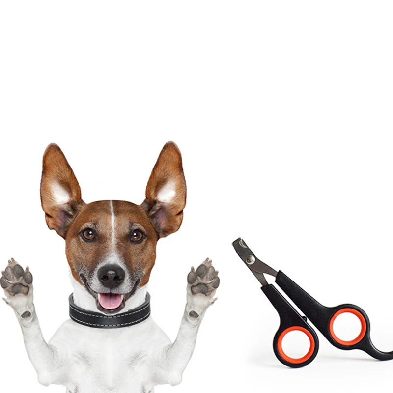 Pet Nail Clippers Cutter Parrot Nail Trimmer Scissors for Dogs Cats Birds Guinea Pig Animal Claws Paw Cutter Bird Parrot Shear