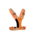 LED Orange