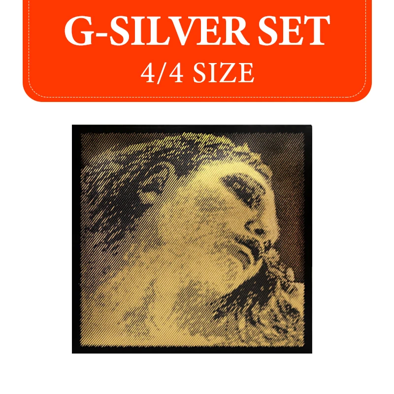 PIRASTRO EVAH PIRAZZI GOLD バイオリン弦 4セット エヴァ ピラッツィ ゴールド バイオリン弦 4本セット G線