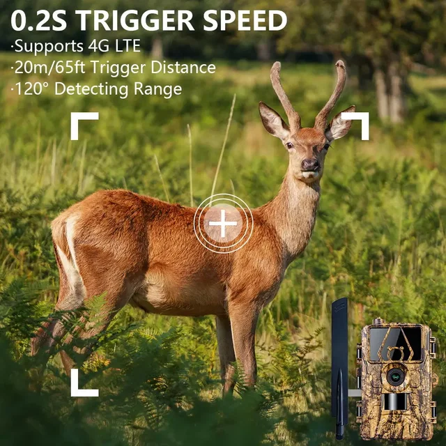 Pr801 4G Network Observation Hunting Camera House Safety Outdoor IP66 Waterproof Infrared Trigger Photo Video Recorder WiFi APP 4
