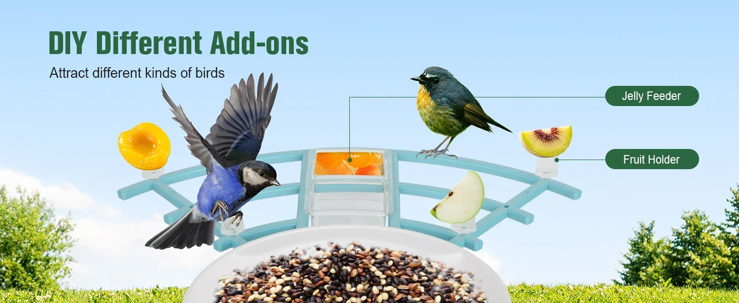 Bird Feeder