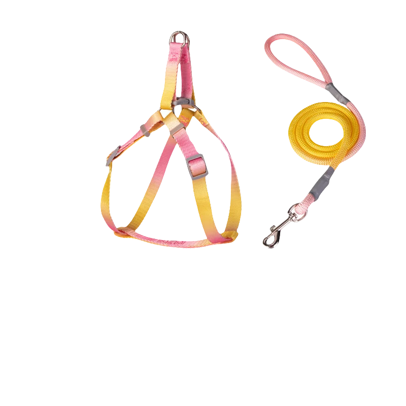 Adjustable Indoor/Outdoor Pet Leash and Harness Set – Break-Free Design, Vibrant Colors