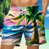 2024 Summer Street Versatile Thin Beachwear high-end Fashion 3D Digital Printing Shorts men's Large Handsome Loose Shorts 4