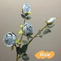4 heads Blue