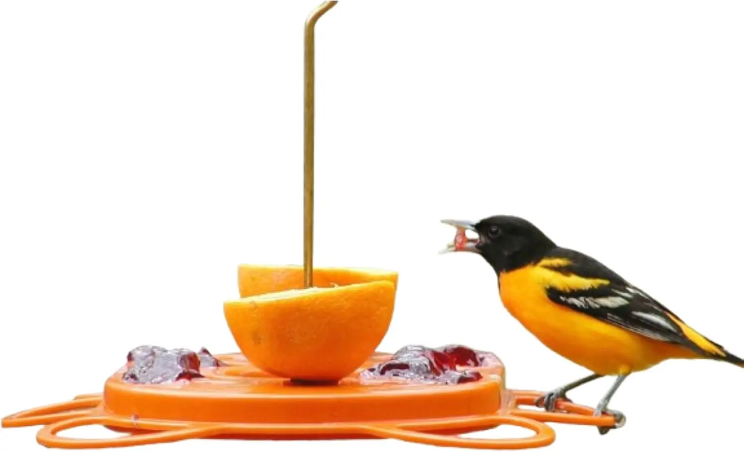Oriolefest Oriole - Comedero para pájaros para naranjas, gelatina y néctar de 12 onzas