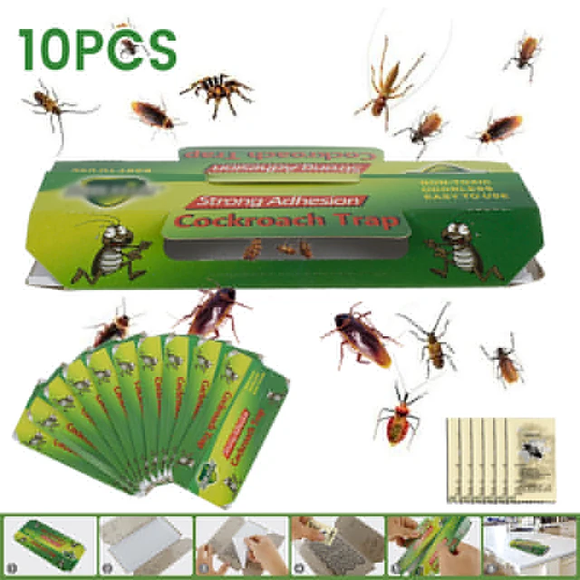 Csótány Ház Kártevő Csapda Nem Toxikus Ragacsos Táblák Ragasztó Kártevőirtó Szerszám Tartozék