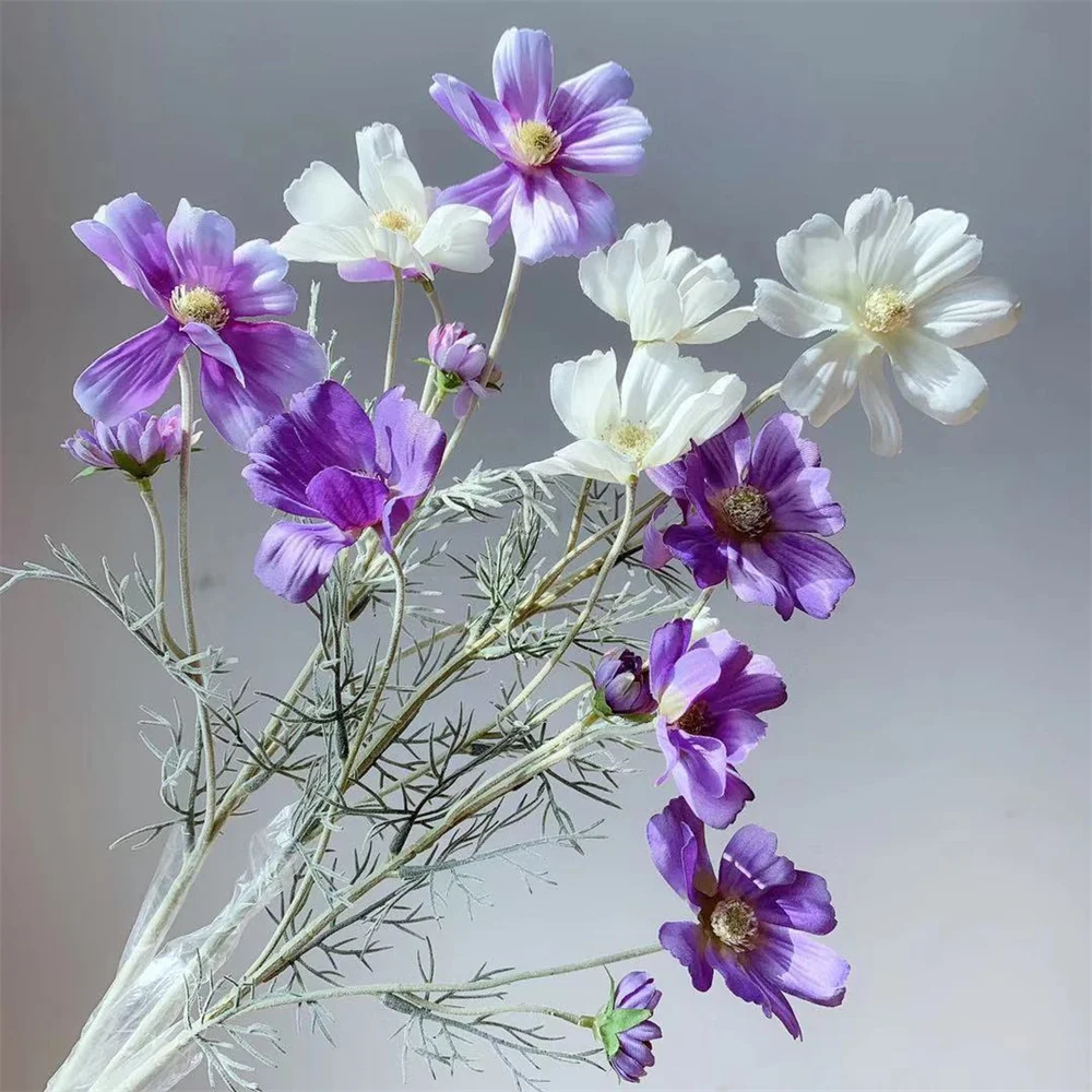  Ի ö   Ȩ , Ƽ ǰ, ̱ 귣ġ 4 ũ ڽ, ¥  ũ 