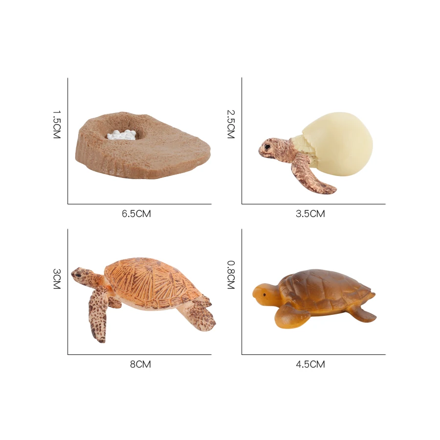 Turtle and Tortoise Action Figure Playset - Sea and Marine Animal Toy Collection