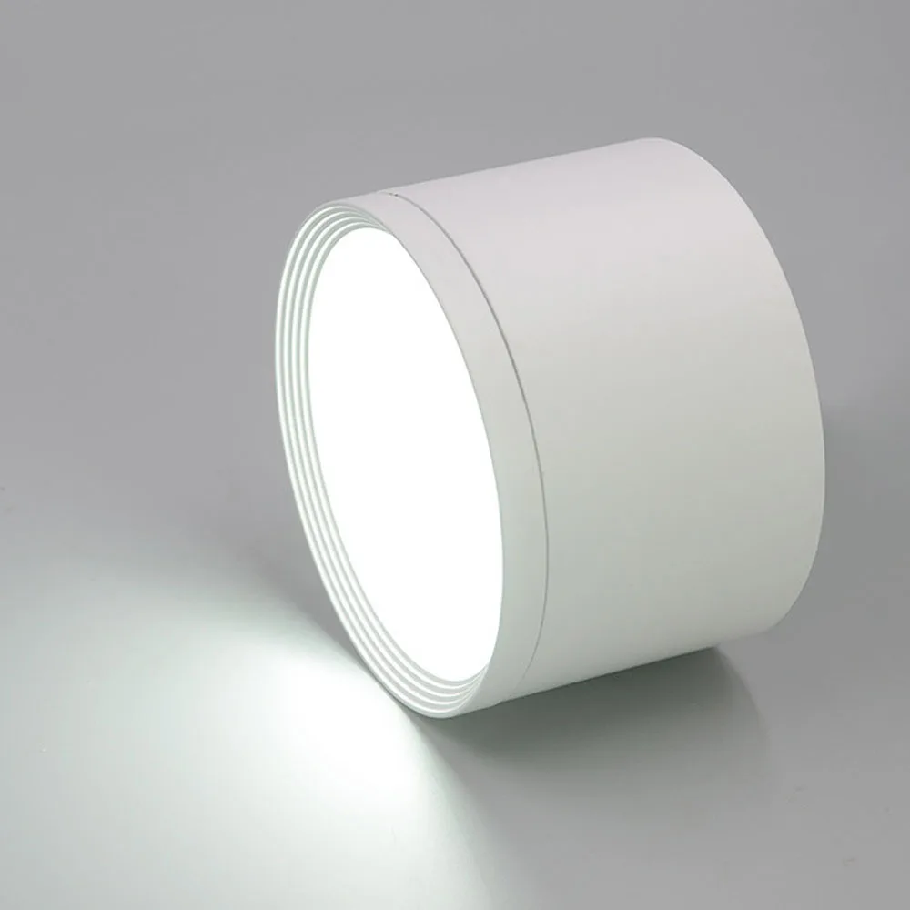 IP65 220V Outdoor Waterproof IP66 IP67 LED Downlight Surface Mounted Dimmable 5W 7W 9W 12W Canopy Eaves Ceiling Lamp Spot Light