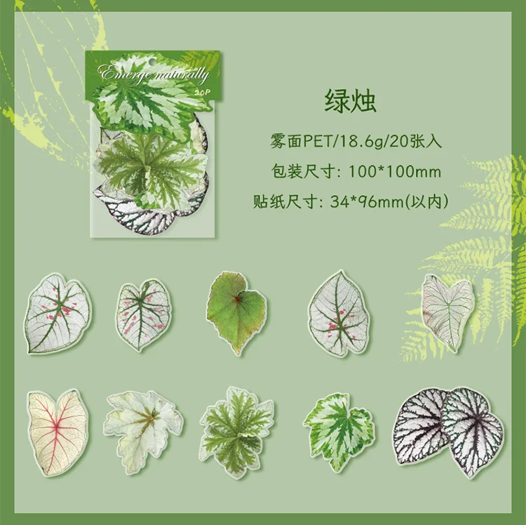 20 pcs Plants Flowers Leaf PET Sticker pack Hand Account Collage Junk Journal Planner Scrapbooking Decor Stationery Stickers