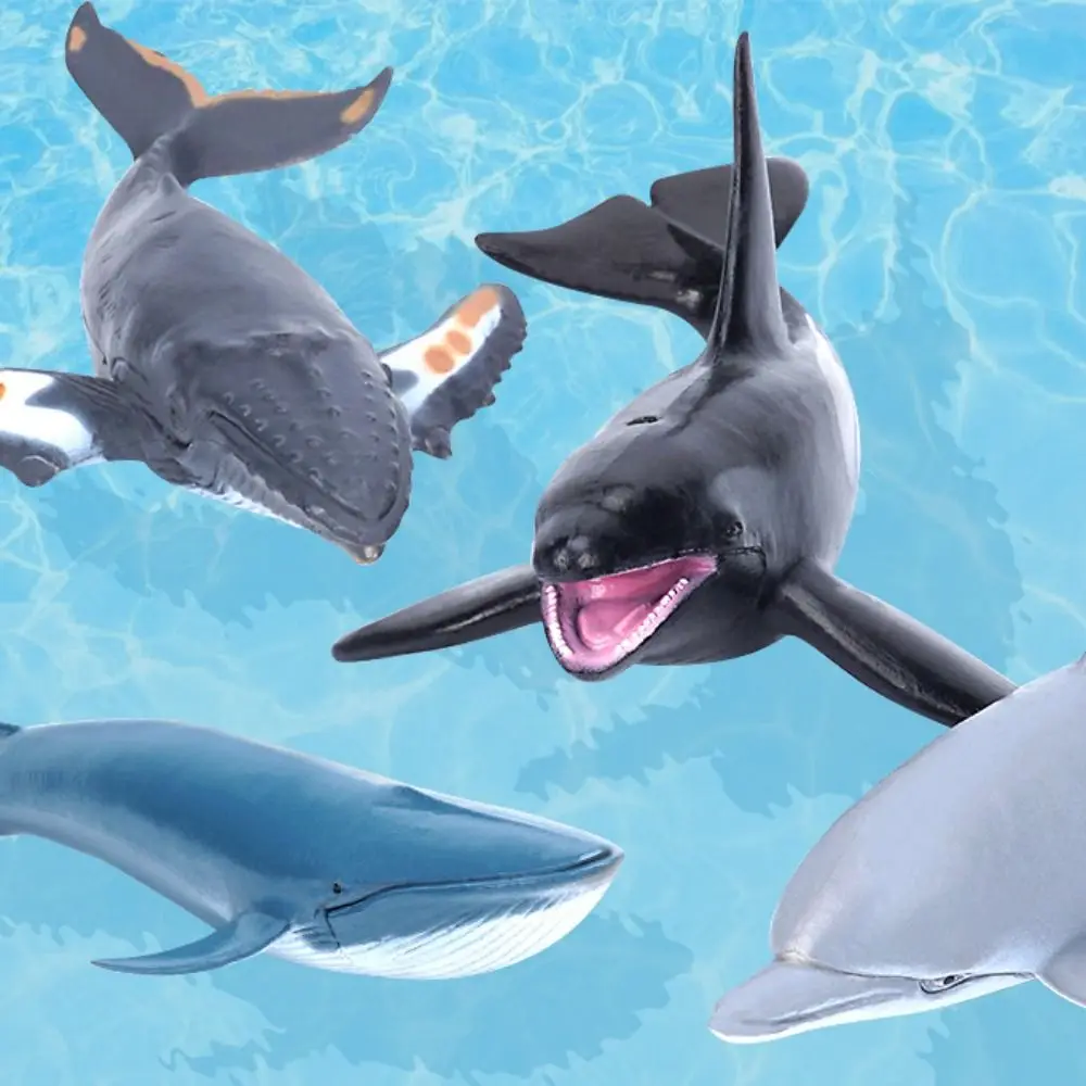 Ocean Adventure Marine Life Figurine Set - Educational Sea Animal Toys