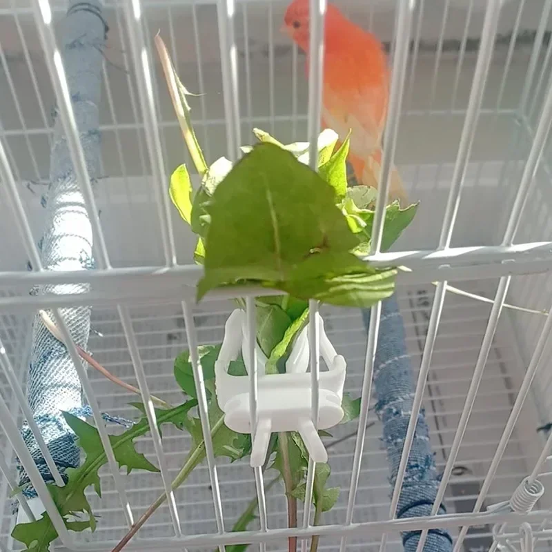 Birds Food Holder Pet Parrot Feeding Fruit Vegtable Clip Cuttlefish Bone Feeder Device Pin Clamp Bird Cage Accessories