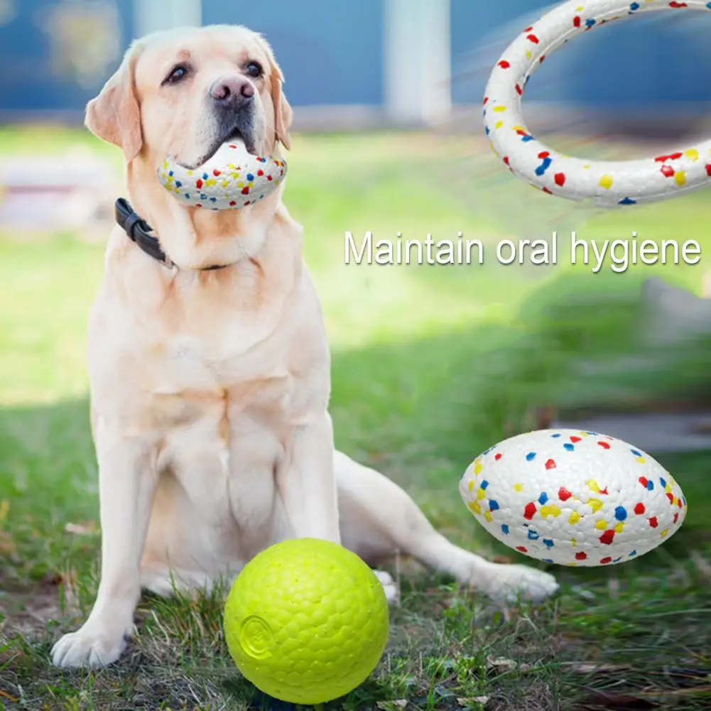 

Water-friendly Dog Toy Dog Training Ball for Dogs Durable Bite-resistant Pet Teething Toy Relieves Boredom Promotes Healthy Chew