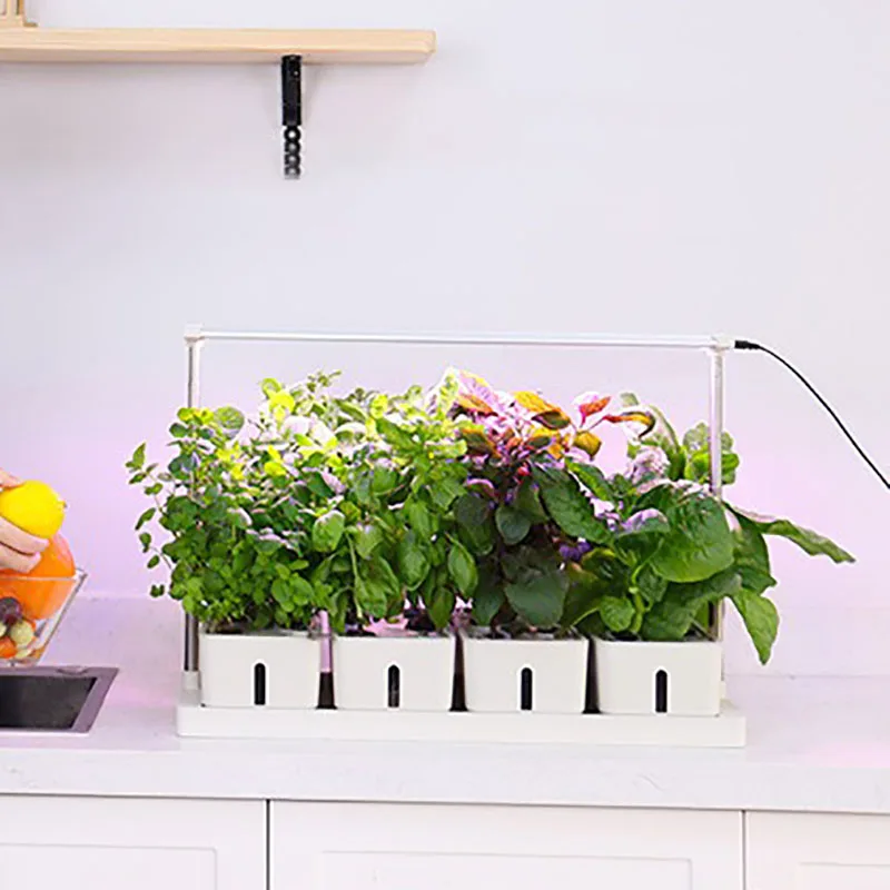 

Hydroponics Growing System Smart Indoor Planter Aerobic System Gardening Greenhouses Vertical Hydroponic Installation Flowerpot