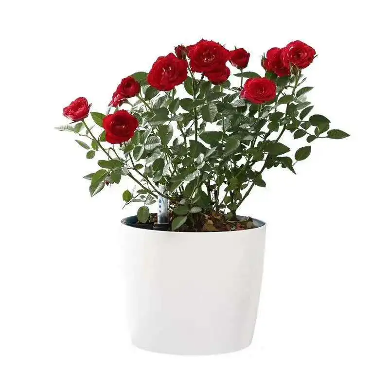Indoor Self-Watering Plastic Flower Pot with Water Level Indicator