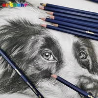 Professional Drawing Sketching Pencil Set, 12pcs Graphite Pencils, 6H-12B, Ideal for Drawing Art, Sketching, Shading, Artist Pen 6