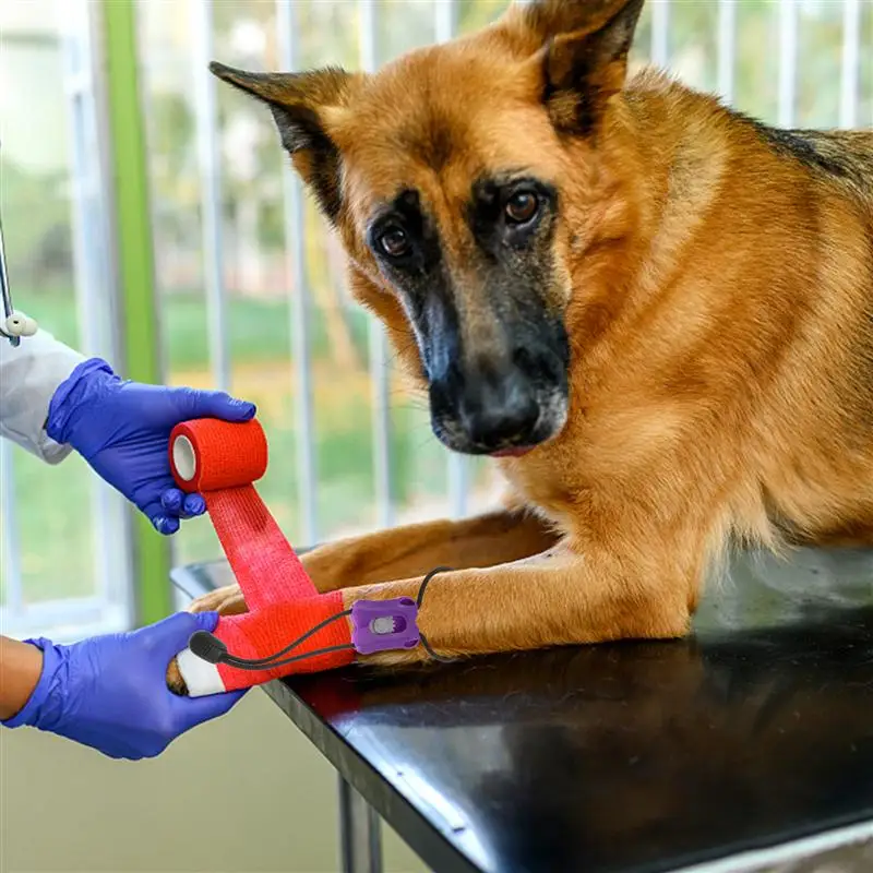 4pcs Professional Animal Tourniquet First aid Quick Slow Release Elastic Medical Essential Emergency Tourniquet for Pet Pet Tourniquet