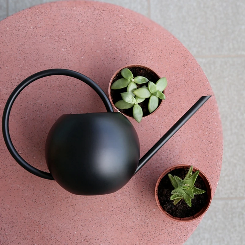 400 ML Stainless Steel Watering Can Small Indoor Plants Mini Watering Can Metal Long Spout