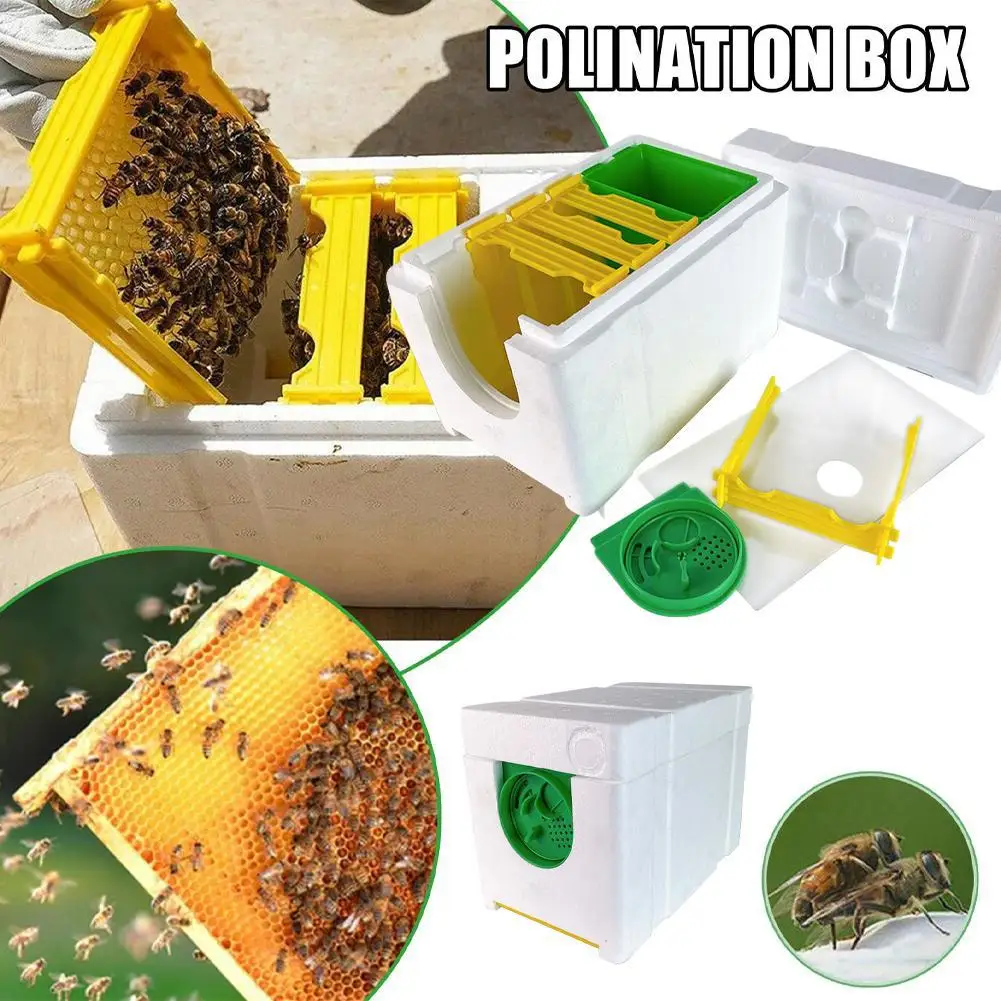 Mini Beehive Beekeeping Box Multi-Function Home Bee Hive Pollination Boxes Harvest Bee Hive Beekeeper Mating Supplies