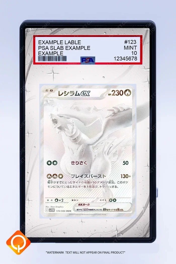 Deluxe Acrylic Anime Art Display Case for Trading Card Showcase
