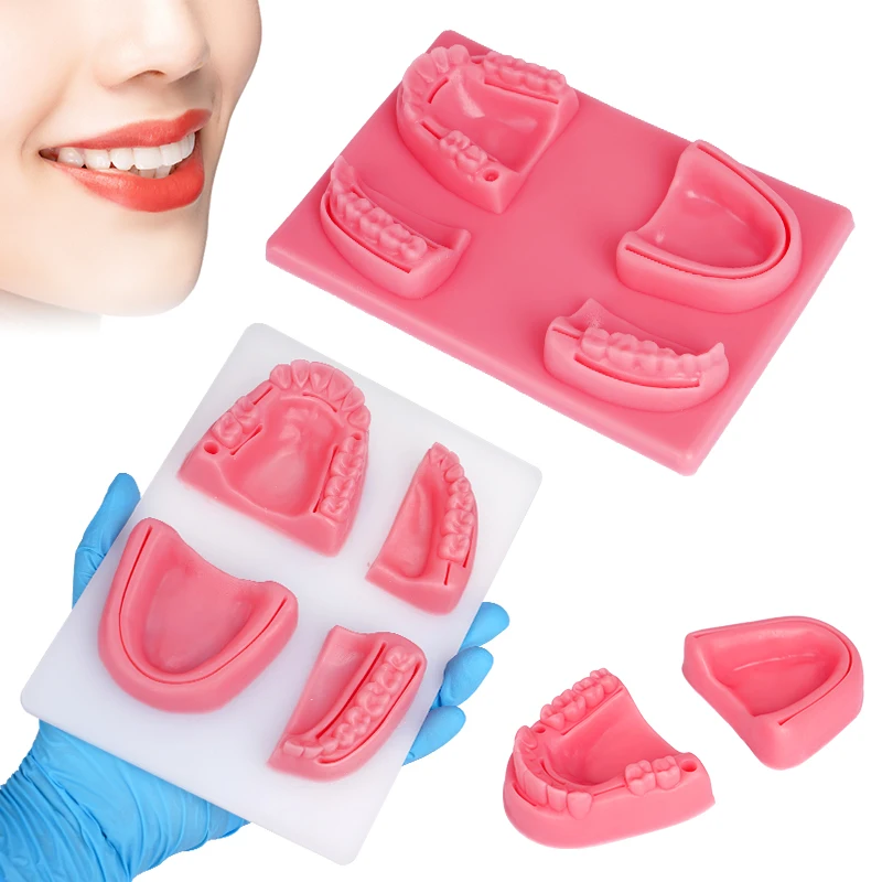 치과 구강/잇몸 봉합 수술 연습용 의료용 피부 봉합 패드 모델 실리콘 치주염 봉합 모델 봉합 연습 키트