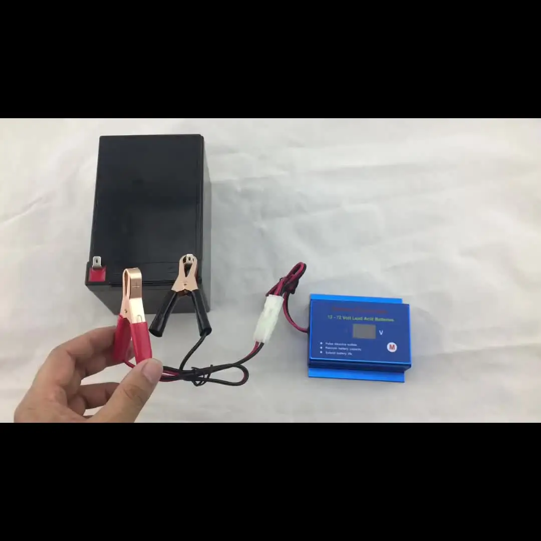 Désulfateur De Batterie 12V/24V/36V/48V Automatique