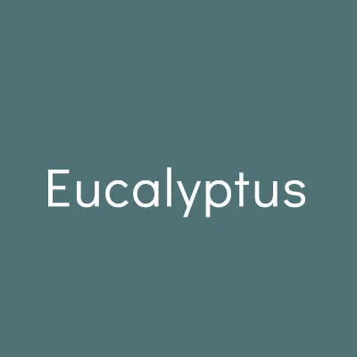 eucalyptus
