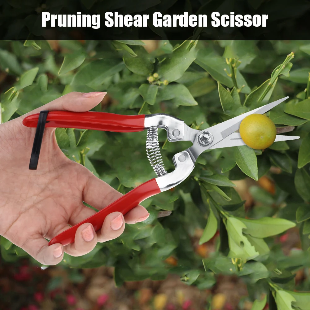 Fruit Tree Bonsai Gardening Pruning Shear Garden Scissors Pruner Tool Fruit Scissor Garden Scissor Tree garden scissors,pruning shears,garden tools,garden pruner