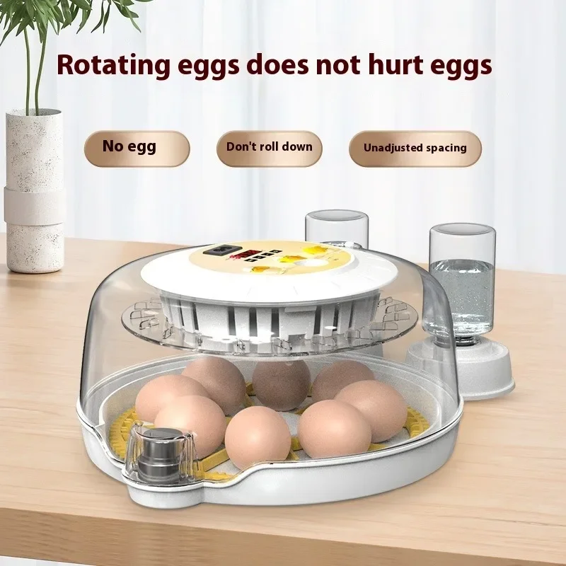 Egg Incubator with Automatic Flipping Function, Temperature and Humidity Digital Control, Supporting 8 Eggs US Plug Cooking Tool