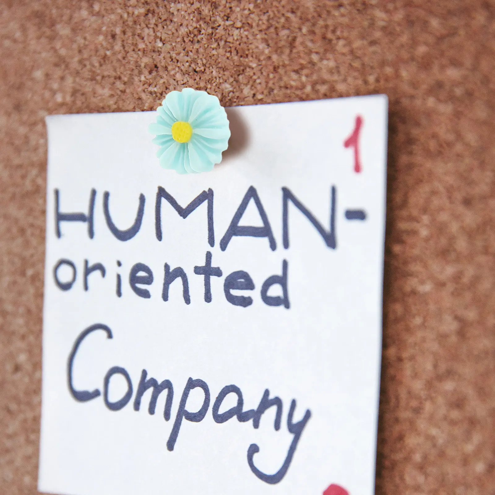 30Pcs 꽃 모양의 푸시핀 다기능 엄지 못 다용도 정밀 지도 용품 일상 사용 재..